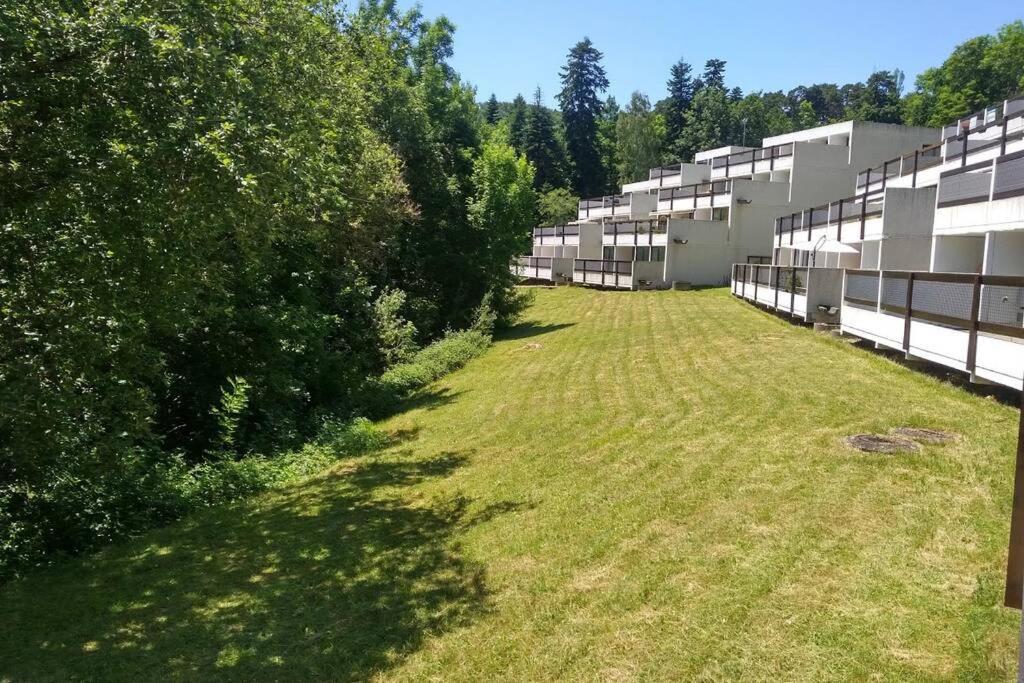 Studio Au Coeur Des Volcans D Auvergne - Murol Zewnętrze zdjęcie