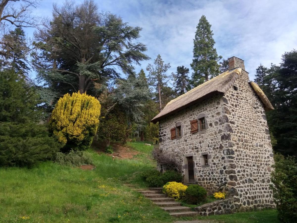 Studio Au Coeur Des Volcans D Auvergne - Murol Zewnętrze zdjęcie